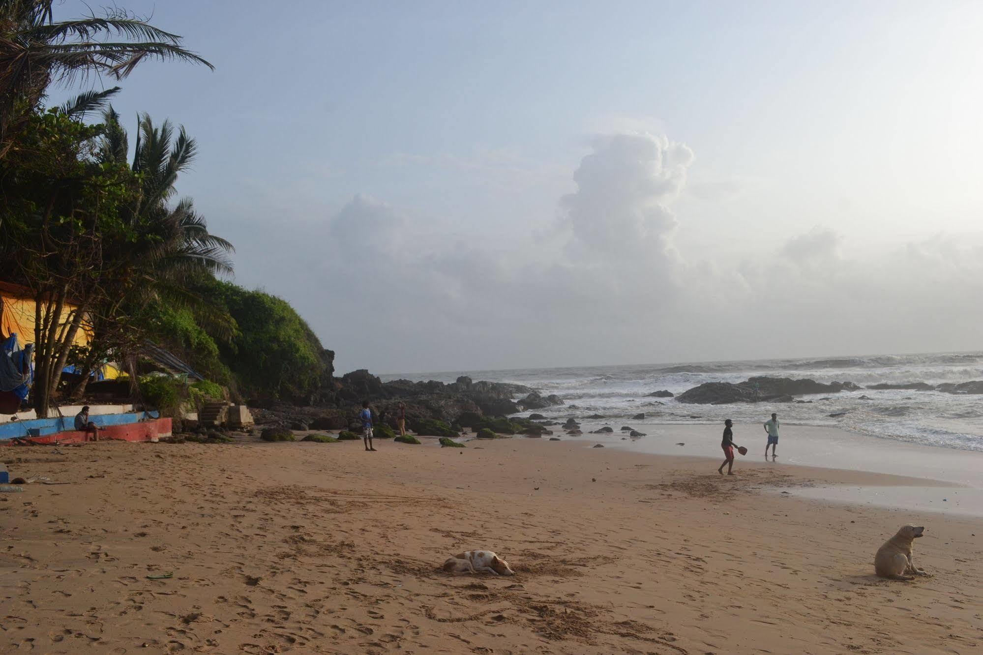 Curlies Zulu Land Anjuna Exterior foto