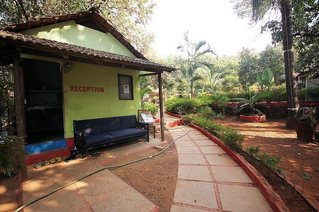 Curlies Zulu Land Anjuna Exterior foto